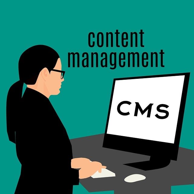 In the digital age, having a robust online presence is crucial for businesses of all sizes. Content Management Systems (CMS) have emerged as powerful tools that allow users to create, manage, and modify content on websites without needing extensive technical knowledge.